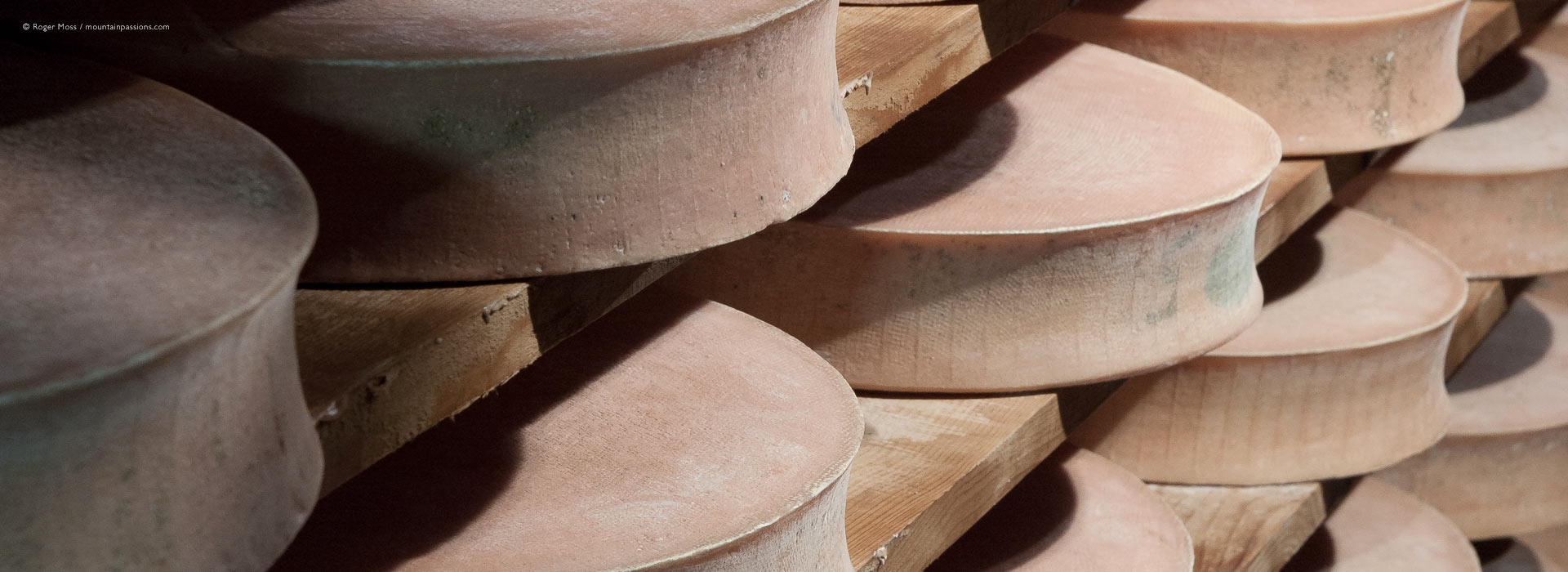 Beaufort cheeses maturing on racks