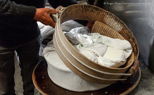 Freshly-made Beaufort cheese being removed from moulds after pressing.