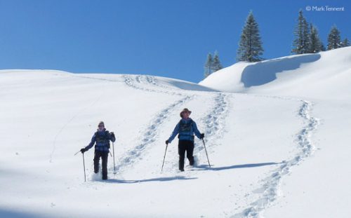 Couple snow-shoeing in deep snow on the long-distance traverse of the Chartreuse.