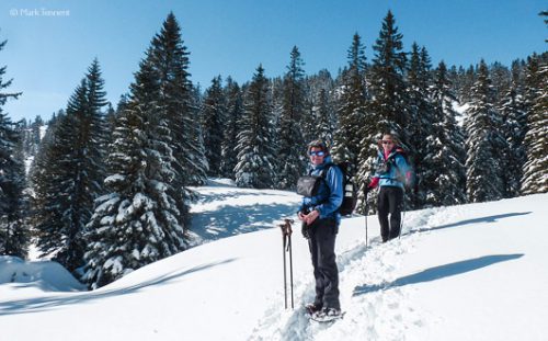 snow-shoeing in the Chartreuse