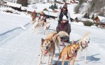 Dog-sledding teams with passengers, Vallée d'Abondance