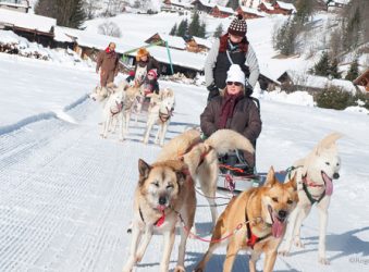 Dog-sledding teams with passengers, Vallée d'Abondance