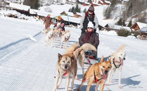 Dog-sledding teams with passengers, Vallée d'Abondance