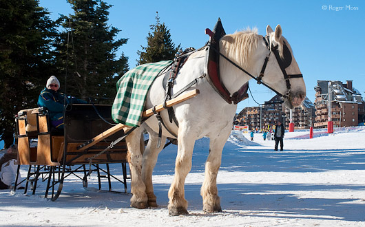 horse-drawn sleigh in Avoriaz village centre