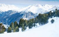 La Norma