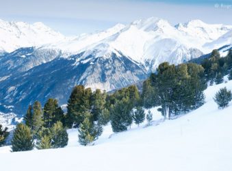 Mountain views with trees, La Norma