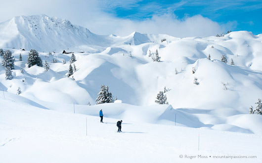 Fresh snow, snowboarders, La Plagne