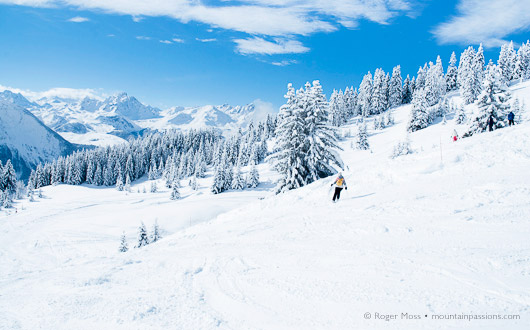 Off-piste after fresh snow, La Plagne