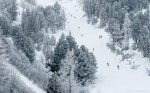 Forested piste, Les Arcs