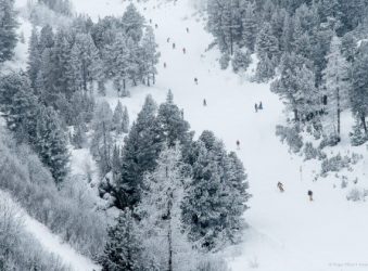 Forested piste, Les Arcs