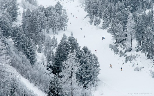 Forested piste, Les Arcs