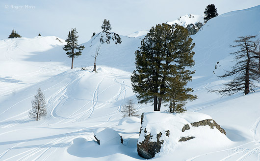 The first few tracks appear on the irresistible fresh snow below the Rocher de l’Aigle, gateway to the Monts de la Lune.