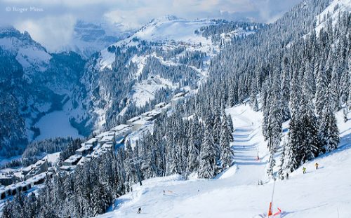 Skiers on piste, snowy trees, Grand Massif