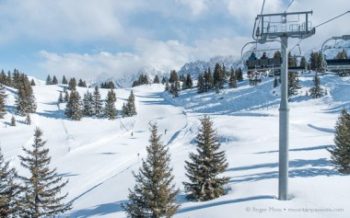 Piste and trees, Les Houches