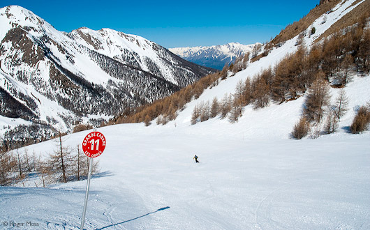 Skier on red piste, Les Orres, French Alps
