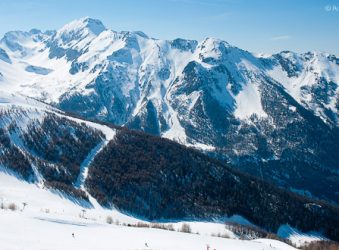 Treeline and piste, Les Orres