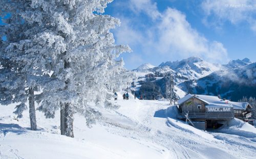 Wide view of skiers amid snowy landscapes.