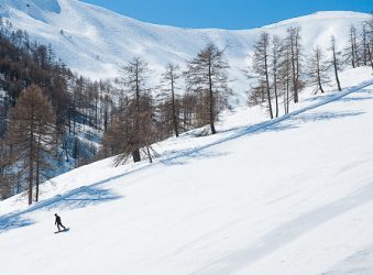 Dropping through the tree-line below the Tête de Vescal (2515m), Val d’Allos.