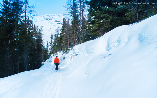 Local knowledge: we explore the silent world of an unmarked forest trail above Lanslevillard.