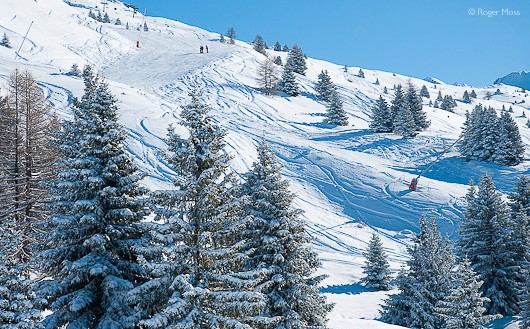 The reward: dropping through the tree-line towards Valmeinier 1500.