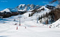 Vars