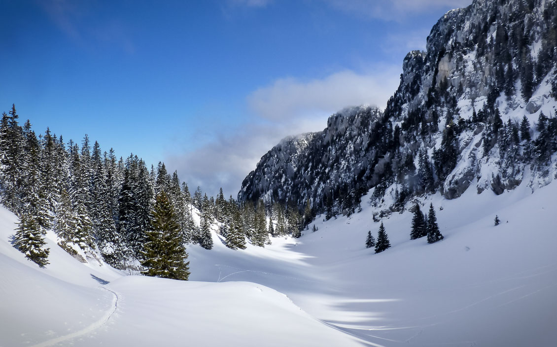 Snow-covered valley beside forest in the Massif de la Chartreuse, French Alps.