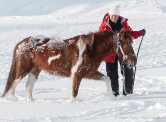 Skier with pony in snow at ski-joering centre