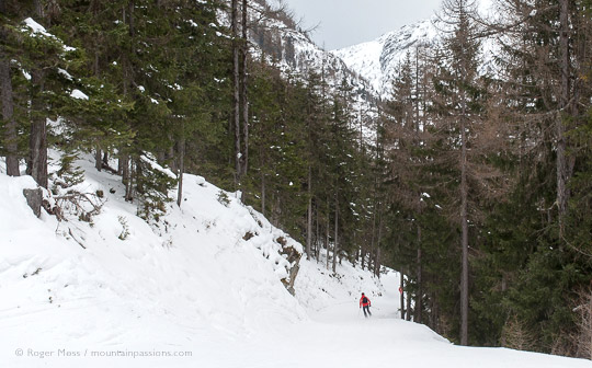 View of skier on piste among forest above Vallorcine