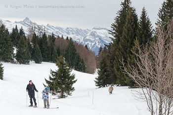 Two couples walking with snowshoes on mountainside with trees near Praz de Lys, French Alps.