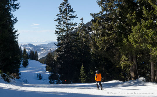 View of skier of woodland piste between Praz-de-Lys and Sommand, French Alps.