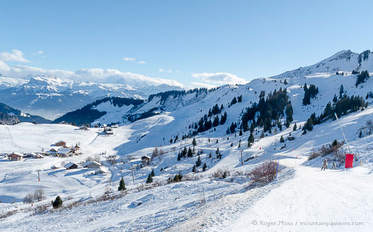 Wide view of skiers on gentle piste above Praz de Lys, French Alps.