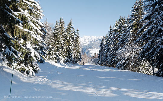 Wide view of tree-lined ski piste above Doucy, near Valmorel, French Alps.