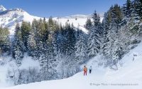 Two skiers on piste below forest at Valmorel, Savoie, French Alps