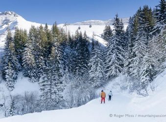 Two skiers on piste below forest at Valmorel, Savoie, French Alps