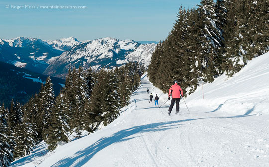 Rear view of skiers descending tree-lined piste on fine sunny day at Chatel, Portes du Soleil, French Alps.