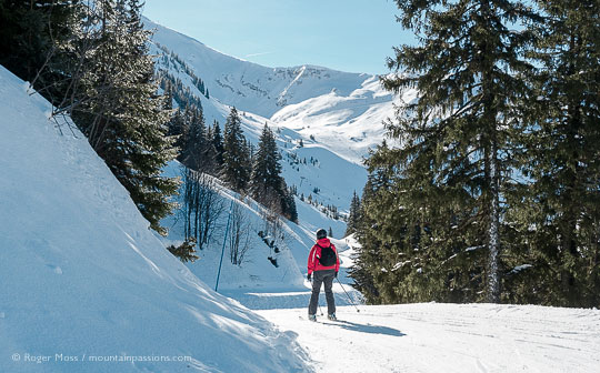 Skier on piste between trees near Plaine Dranse, Chatel, Portes du Soleil