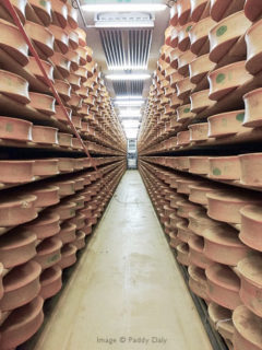 Beaufort cheese at the Cooperative Laitière in Beaufort-sur-Doron, French Alps