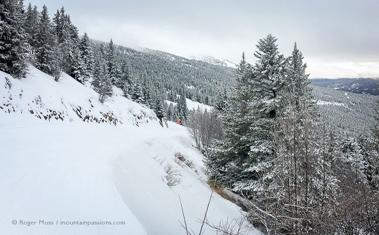 Wide view of ski piste between snow-covered trees