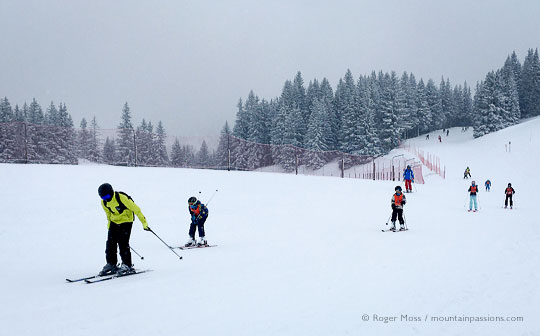 Skiers on misty piste with snow-dusted trees