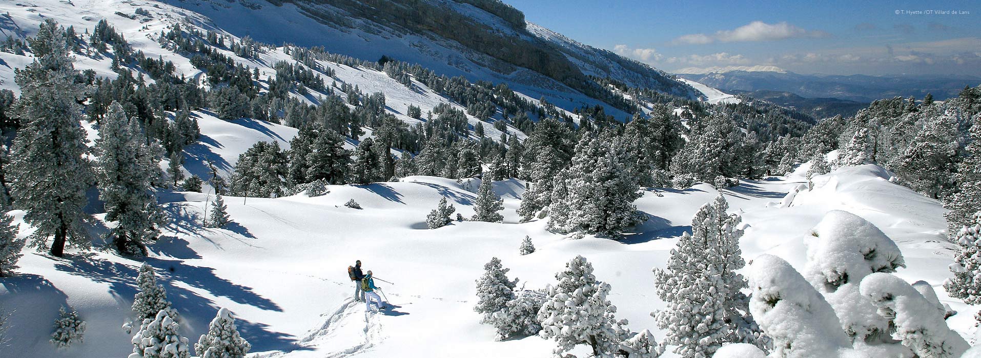 Wide overview of snowshoe walkers on mountainside