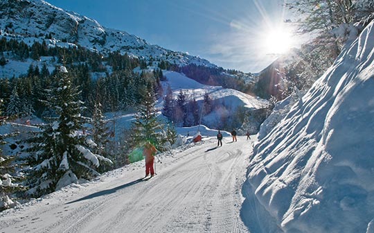 Oz-en-Oisans, ski piste