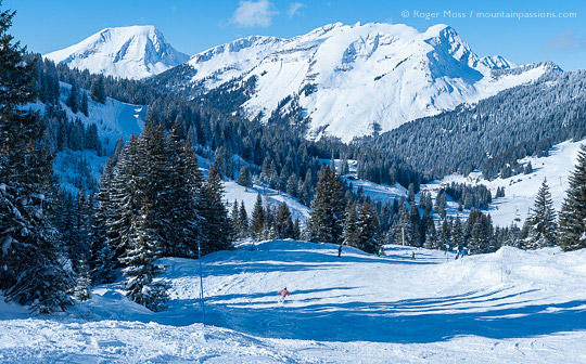 Skiers descending tree-lined piste at Morzine, French Alps